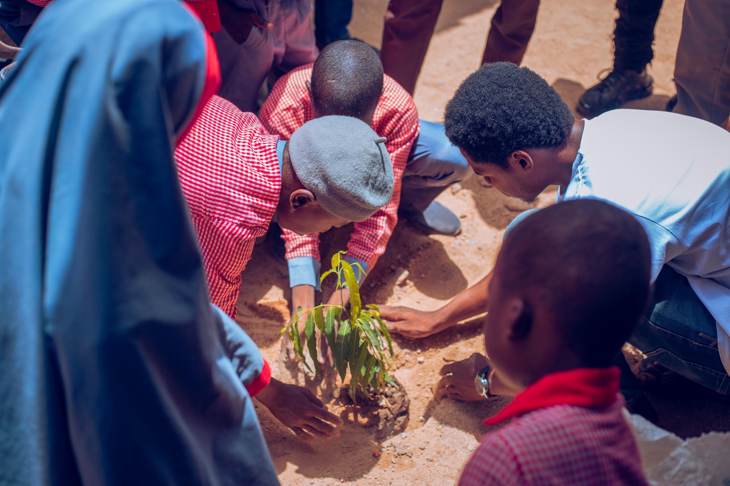 Students planting trees